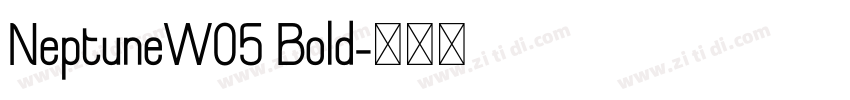 NeptuneW05 Bold字体转换